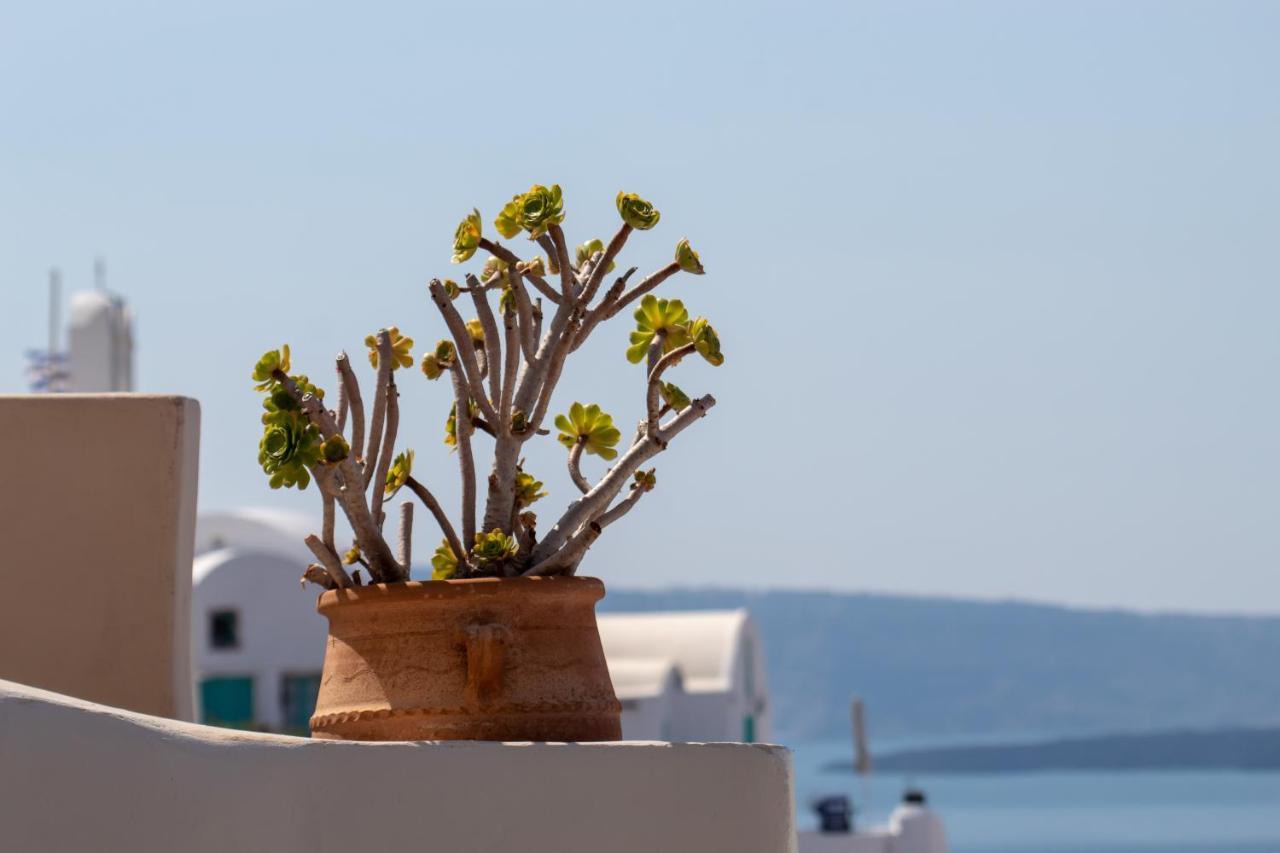 Villa Ariadni Cave Houses In Oia Экстерьер фото